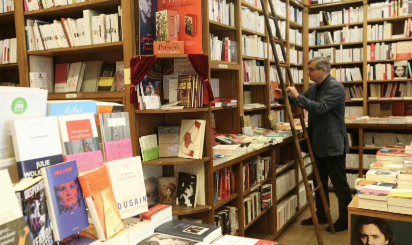 « Franchement, on ne voit pas trop de solutions » : les librairies indépendantes en danger