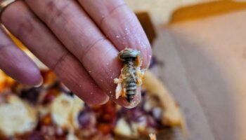 Fuming dad slams Pizza Hut after wife chips tooth biting down on screw baked into slice