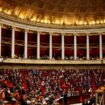 Guillaume Tabard: «Les “pieds nickelés” à l’Assemblée nationale»