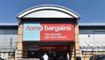 Home Bargains' 'next level' Christmas decorations 'look expensive'