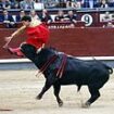 Horrific moment bullfighter dubbed the 'world's worst matador' is brutally gored to the bum and leg during his first clash in Madrid