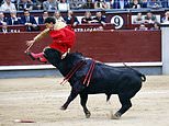 Horrific moment bullfighter dubbed the 'world's worst matador' is brutally gored to the bum and leg during his first clash in Madrid