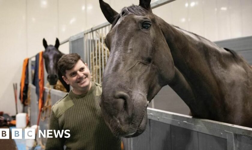 Horse who led Queen's coffin given ‘OBE for animals'