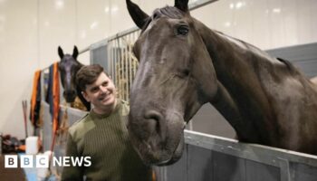 Horse who led Queen's coffin given ‘OBE for animals'