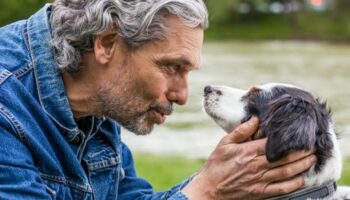 Hunde verstehen langsames Sprechen laut Studie aus der Schweiz besser