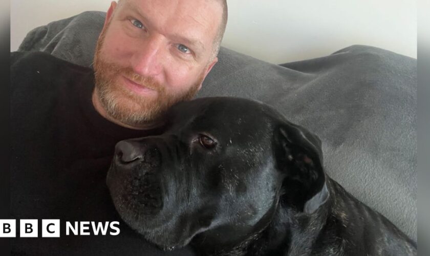 'I had to give up my dog to find a home to rent'