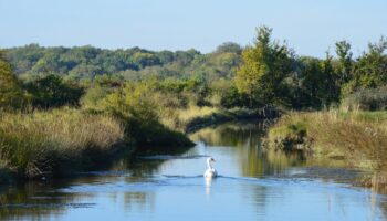 « Il va falloir se retrousser les manches » : en Charente-Maritime, le Parc naturel régional se concrétise doucement