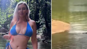 Influencer apologises after feeding a crocodile an entire rotisserie chicken