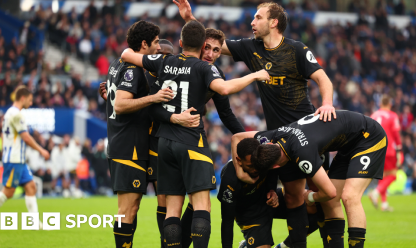 Wolves' players celebrate scoring against Brighton