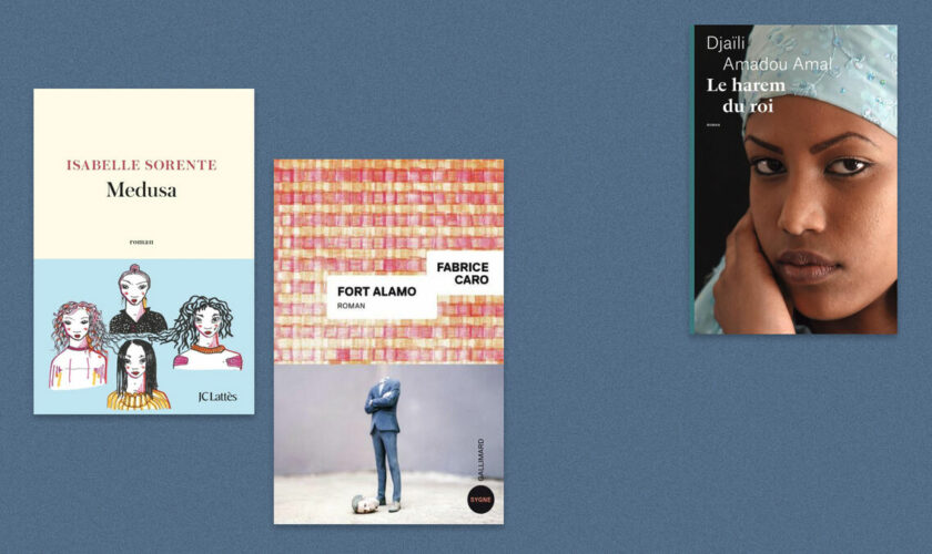 Isabelle Sorente, Djaïli Amadou Amal, Fabrice Caro… Notre sélection livres de la semaine