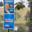 Jörg Dornau: AfD äußerst sich zu Belarus-Sknadal um sächsischen Abgeordneten