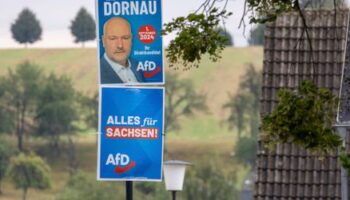 Jörg Dornau: AfD äußerst sich zu Belarus-Sknadal um sächsischen Abgeordneten