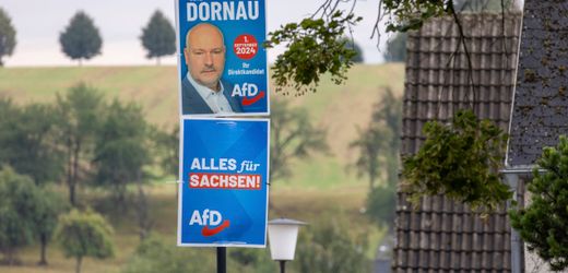 Jörg Dornau: AfD äußerst sich zu Belarus-Sknadal um sächsischen Abgeordneten