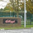 Kellogg's cereal factory set to create 130 jobs