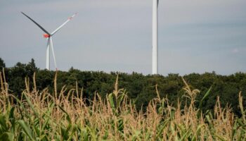 Klimawandel: Zu Besuch in einer Stadt, in der die Energiewende funktioniert