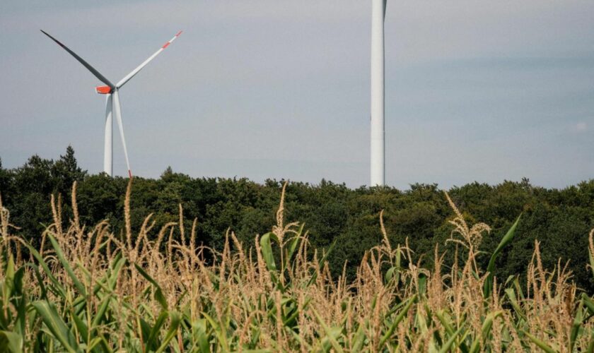 Klimawandel: Zu Besuch in einer Stadt, in der die Energiewende funktioniert