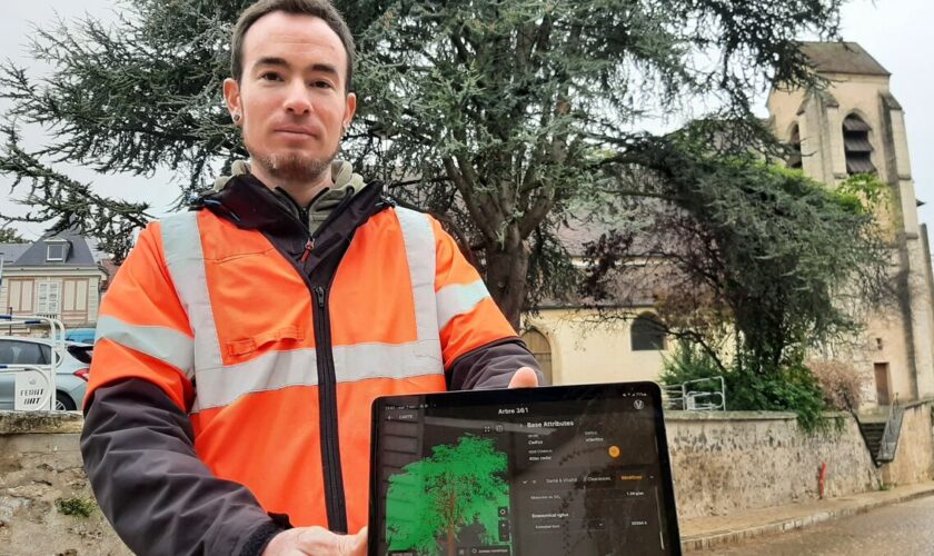 L’IA et la 3D pour mieux entretenir les arbres : Villeneuve-le-Roi déploie une technologie innovante