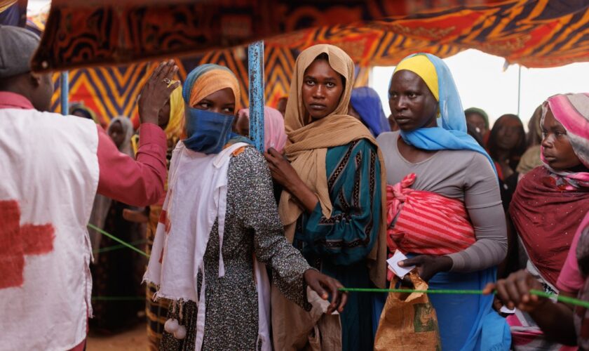 L'ONU tire la sonnette d'alarme: les femmes représentent 40% des victimes civiles dans les zones de guerre