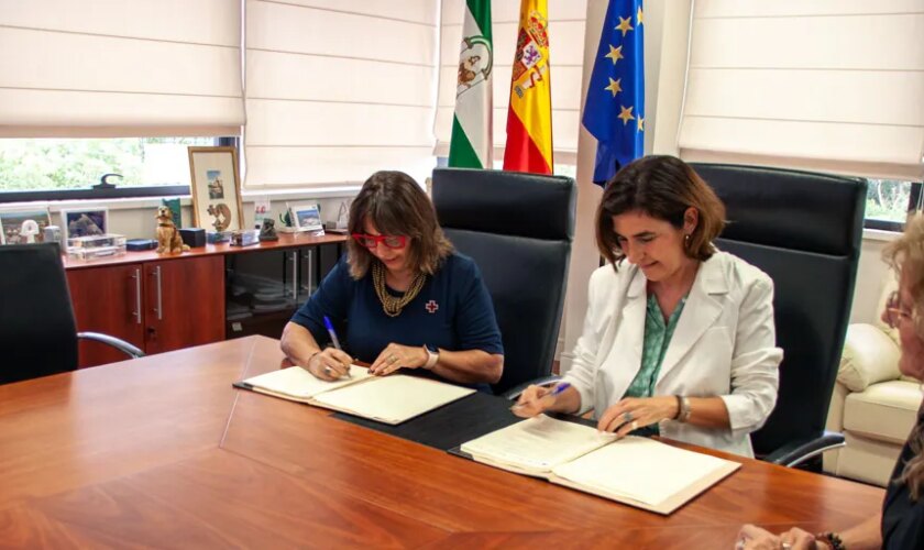 La Junta de Andalucía y la Cruz Roja favorecen la contratación de 189 víctimas de violencia machista y de la trata