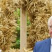 Bundespräsident Frank-Walter Steinmeier hat die Erntekrone erhalten. Foto: Andreas Arnold/dpa