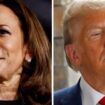 Lauric Henneton : «Kamala Harris ne semble pas creuser l'écart avec Trump, ce qui est préoccupant pour elle»