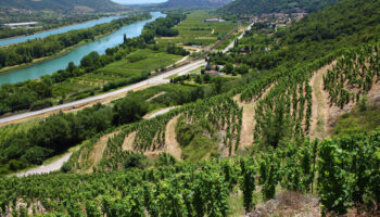 Les côtes-du-Rhône du nord de la vallée veulent une inscription à l’Unesco