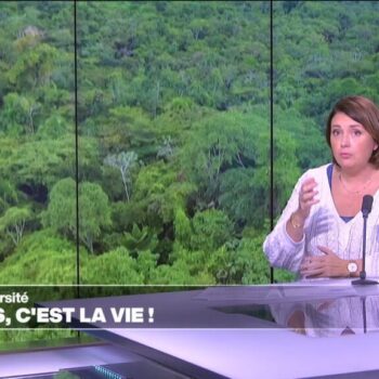 Les forêts: un milieu précieux pour la biodiversité