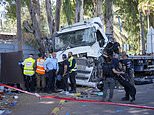 Lorry driver 'terror attack' in Israel as truck rams into crowded bus stop injuring at least 24 people before being 'shot and neutralised' by civilians