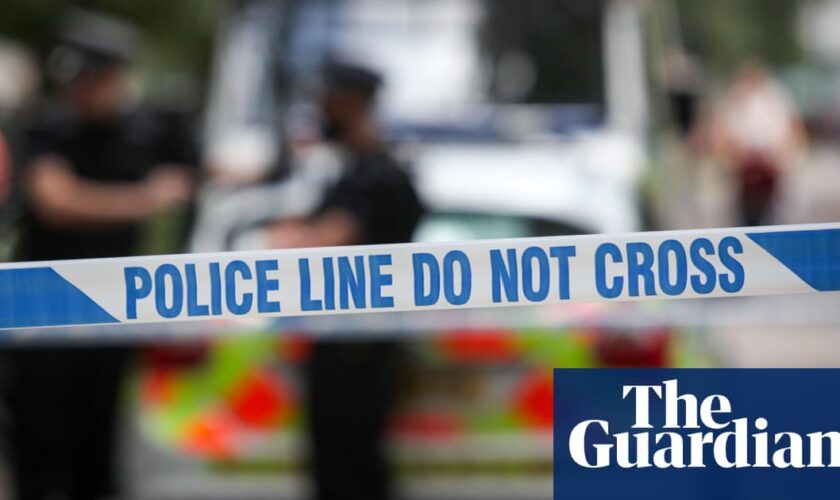 Man arrested after a woman and two girls stabbed in east London