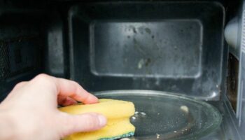 Man's simple microwave cleaning hack leaves people 'kicking themselves'