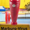 Marburg-Virus: Ruanda startet Versuchsimpfungen mit bislang nicht zugelassenem Wirkstoff