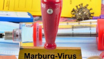 Marburg-Virus: Ruanda startet Versuchsimpfungen mit bislang nicht zugelassenem Wirkstoff