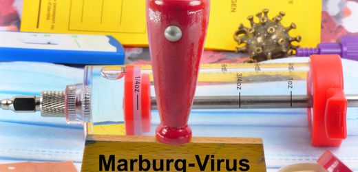 Marburg-Virus: Ruanda startet Versuchsimpfungen mit bislang nicht zugelassenem Wirkstoff