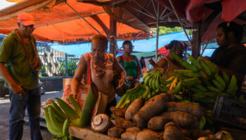 Martinique : la justice annule l’officialisation du créole par la Collectivité territoriale