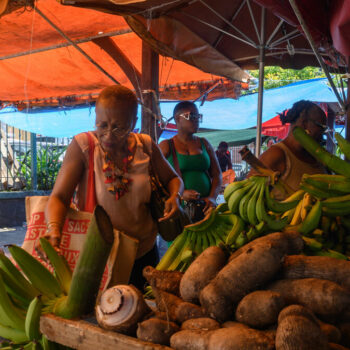 Martinique : la justice annule l’officialisation du créole par la Collectivité territoriale