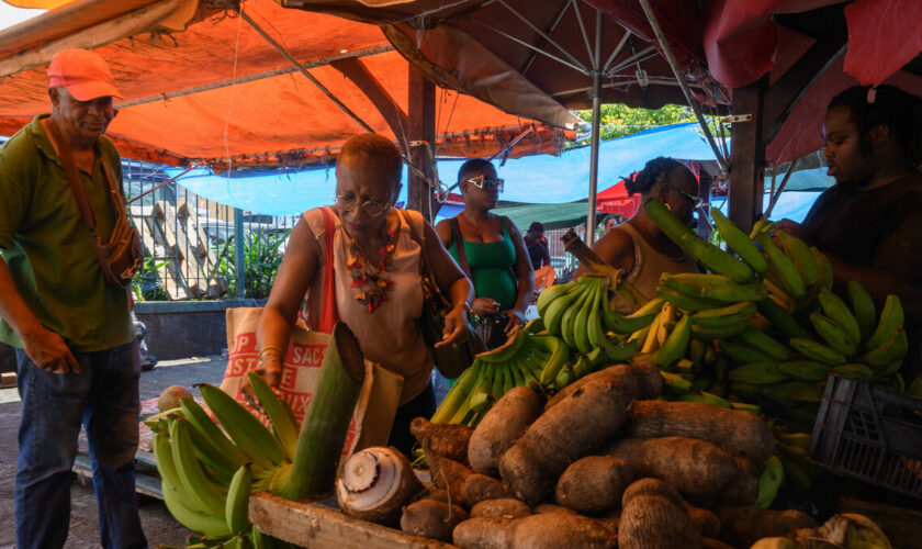 Martinique : la justice annule l’officialisation du créole par la Collectivité territoriale