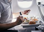 Millions of passengers won't get a hot meal on a long-haul flight anymore - here's why