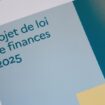 Moins de fonctionnaires et plus d'impôts : tout savoir sur le projet de budget 2025 de la France