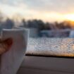 Most common cause of condensation every morning - and simple way to avoid it