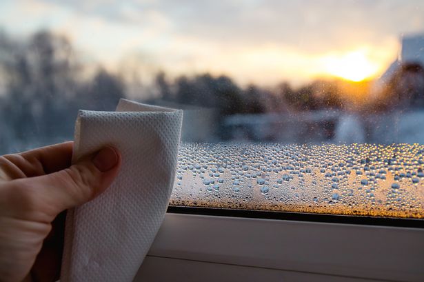 Most common cause of condensation every morning - and simple way to avoid it