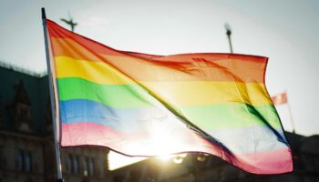 Neubrandenburg: Erneut Regenbogenfahne in Neubrandenburg gestohlen