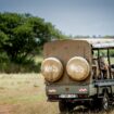 « Ni bruit, ni odeur, on observe les bêtes sauvages de près… sans polluer » : en Tanzanie, un safari 100 % électrique