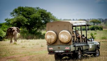 « Ni bruit, ni odeur, on observe les bêtes sauvages de près… sans polluer » : en Tanzanie, un safari 100 % électrique