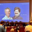 Nobel Prize in Physiology or Medicine awarded to Victor Ambros and Gary Ruvkun