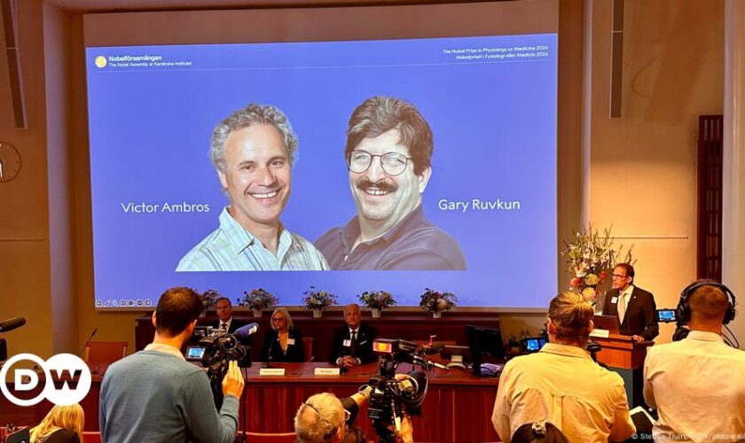 Nobel Prize in Physiology or Medicine awarded to Victor Ambros and Gary Ruvkun