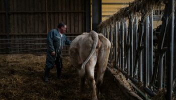 «Nous attendons un coup de pouce du premier ministre» : les agriculteurs impatients de rencontrer Michel Barnier