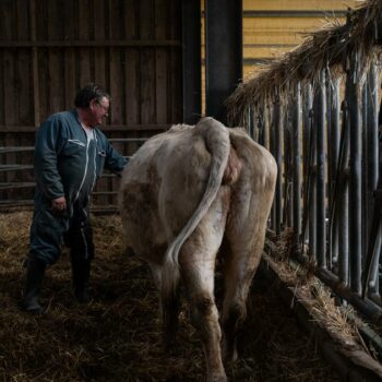 «Nous attendons un coup de pouce du premier ministre» : les agriculteurs impatients de rencontrer Michel Barnier