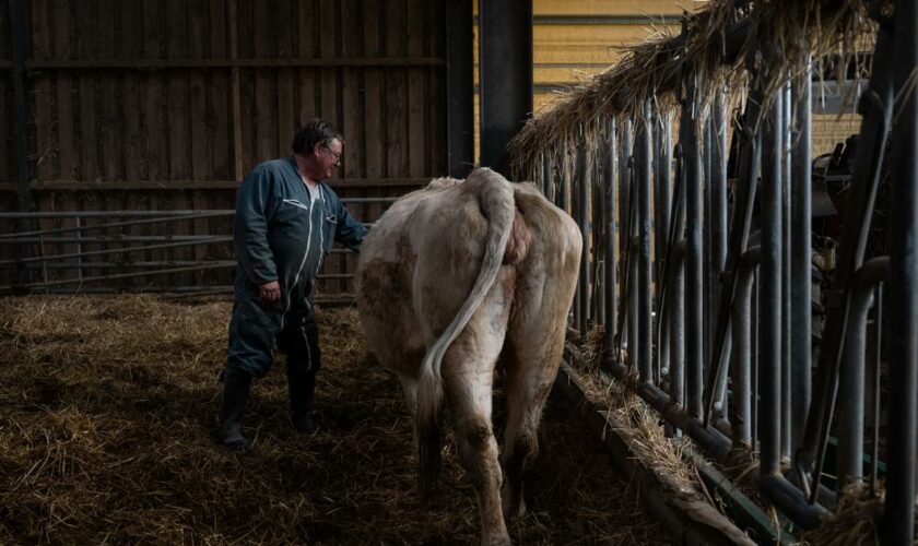 «Nous attendons un coup de pouce du premier ministre» : les agriculteurs impatients de rencontrer Michel Barnier