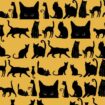 Only those with sharp eyes can spot bat hiding among cats in spooky brainteaser