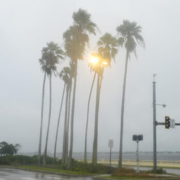 Ouragan Milton : pourquoi Tampa est si vulnérable au "monstre" climatique qui la menace ?